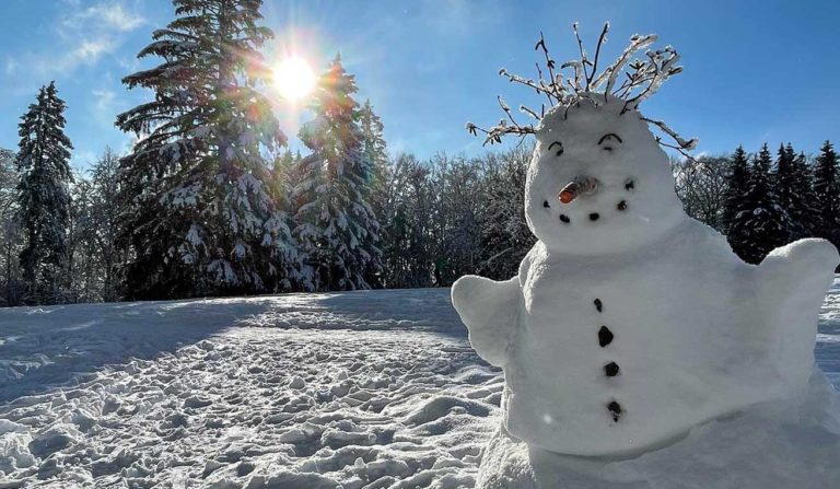 Featured Recipe: Sunshine In the Winter Cake