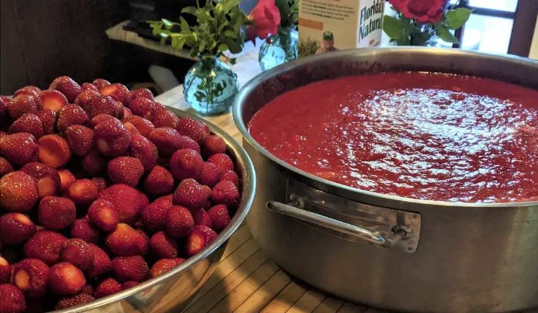 Featured Recipe: Strawberry Lemon Freezer Jam