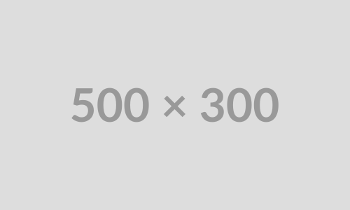 500x300