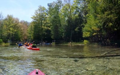 Best Spots To Fish Near Glen Arbor Mi This Summer